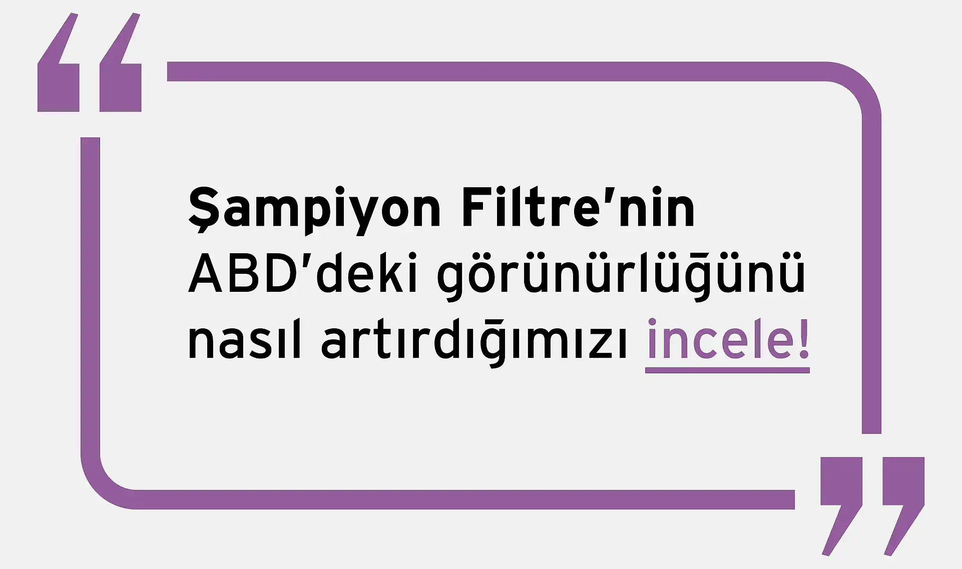 Şampiyon Filtre Arama Motoru Optimizasyonu Hizmeti