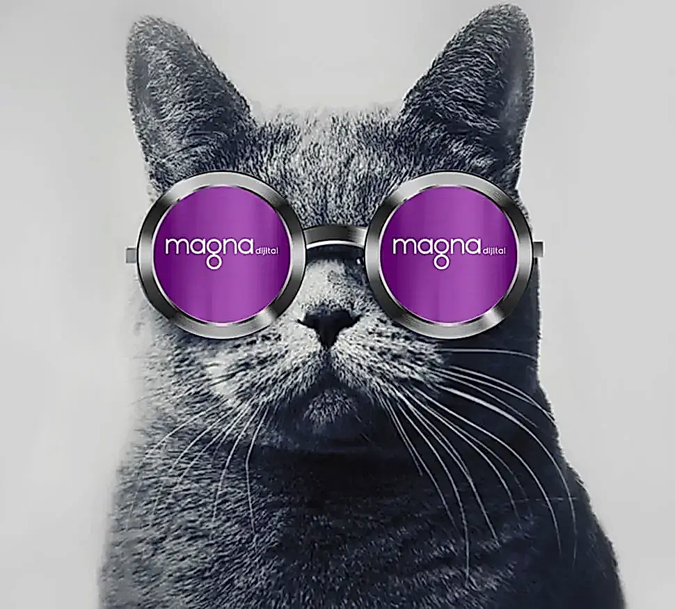 Magna Dijital Pazarlama Ajansı ana sayfa görseli