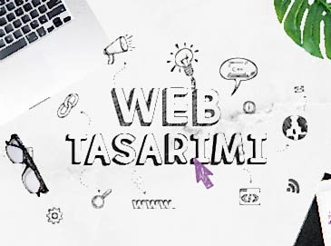 Web Tasarım